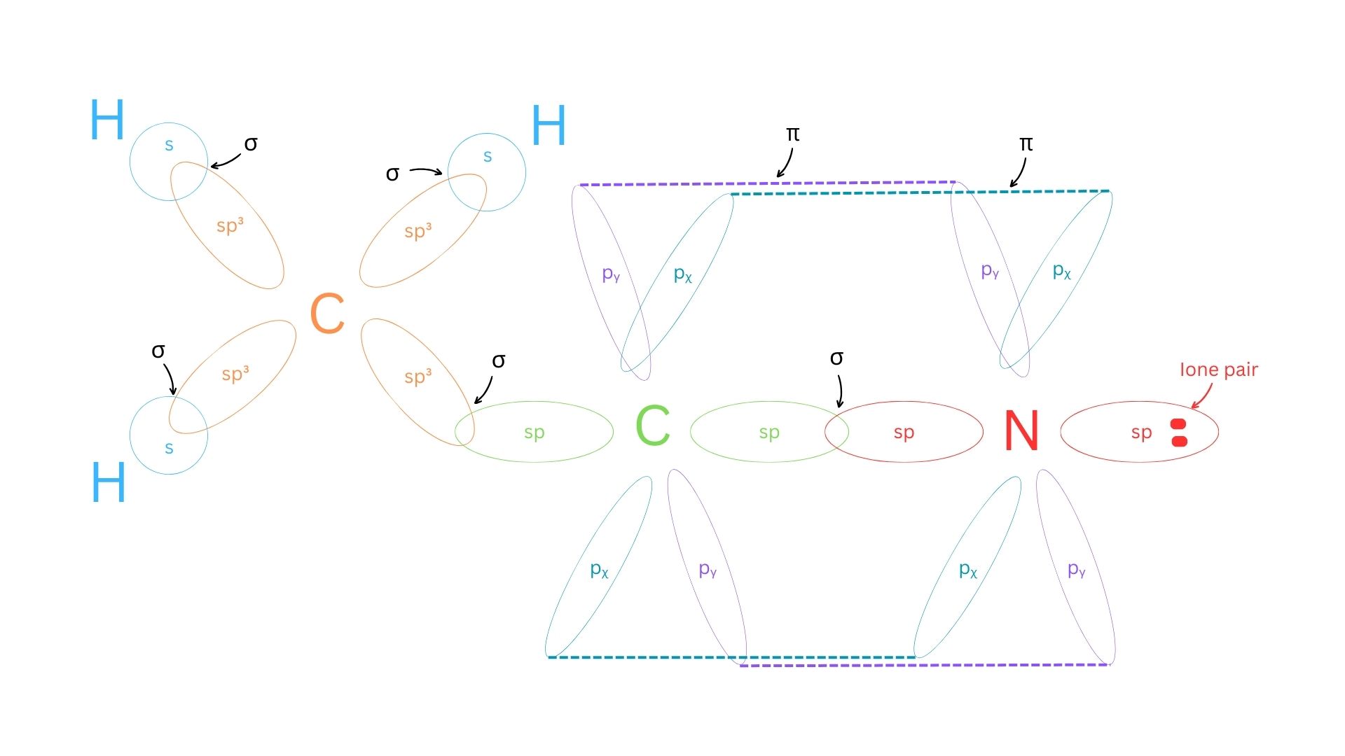 A sketch of the hybridized atomic orbital ‘cloud’ overlap.