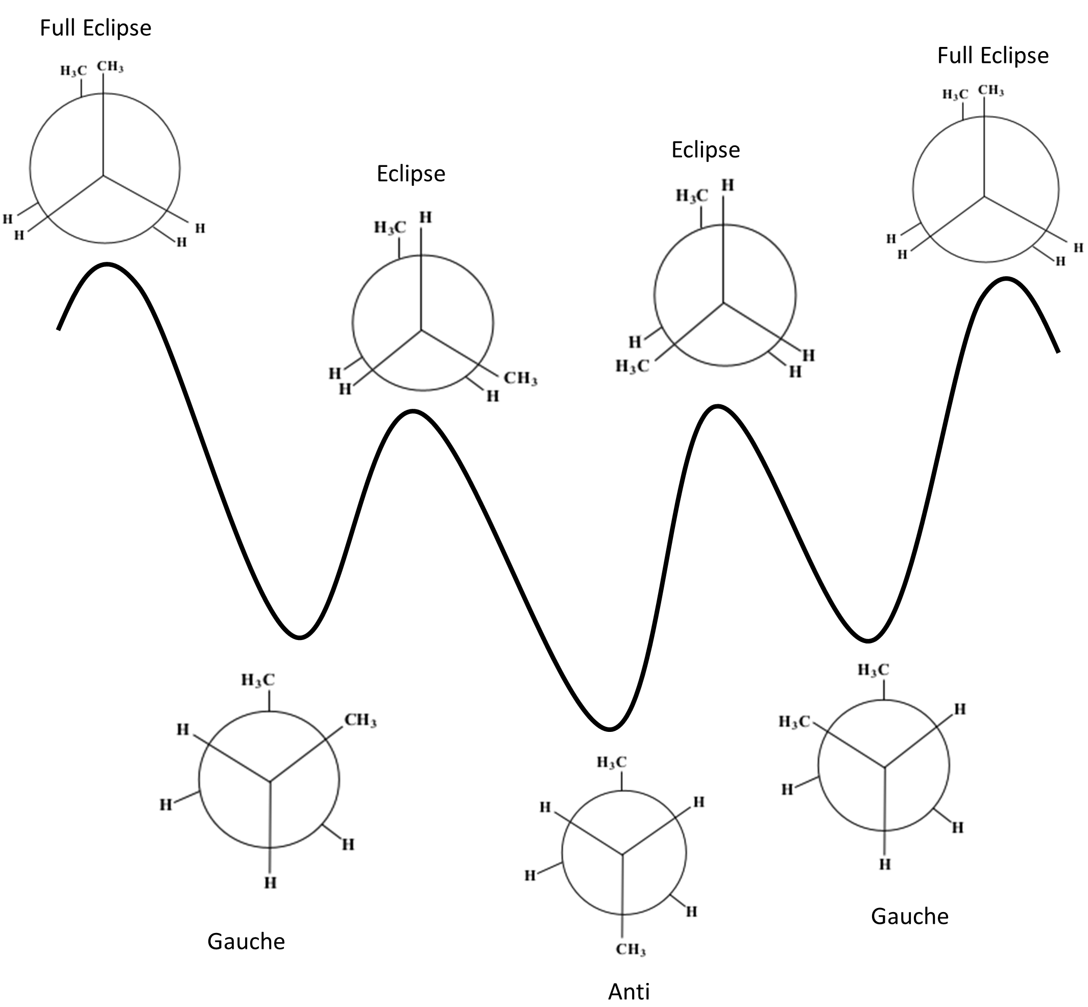 Energy profile of butane is shown as it moves through conformations and the different stability levels for each. Starting with least stable: Full eclipse, Eclipse, Staggered Gauche, and Staggered Anti.
