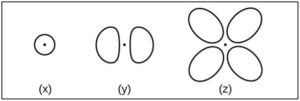 Three different orbital types listed as (x), (y) and (z). The orbital listed as (x) consists of one circle with a smaller, filled circle dot in the centre. The orbital listed as (y) consists of two large lobes on either side of a small dot and is dumbbell/propellor shaped. The orbital listed as (z) consists of four large lobes surrounding a smaller filled circle dot and is 4-leaf clover/daisy shaped.